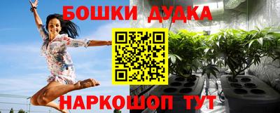 стафф Новокубанск