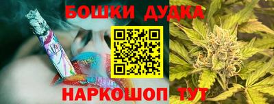 стафф Новозыбков