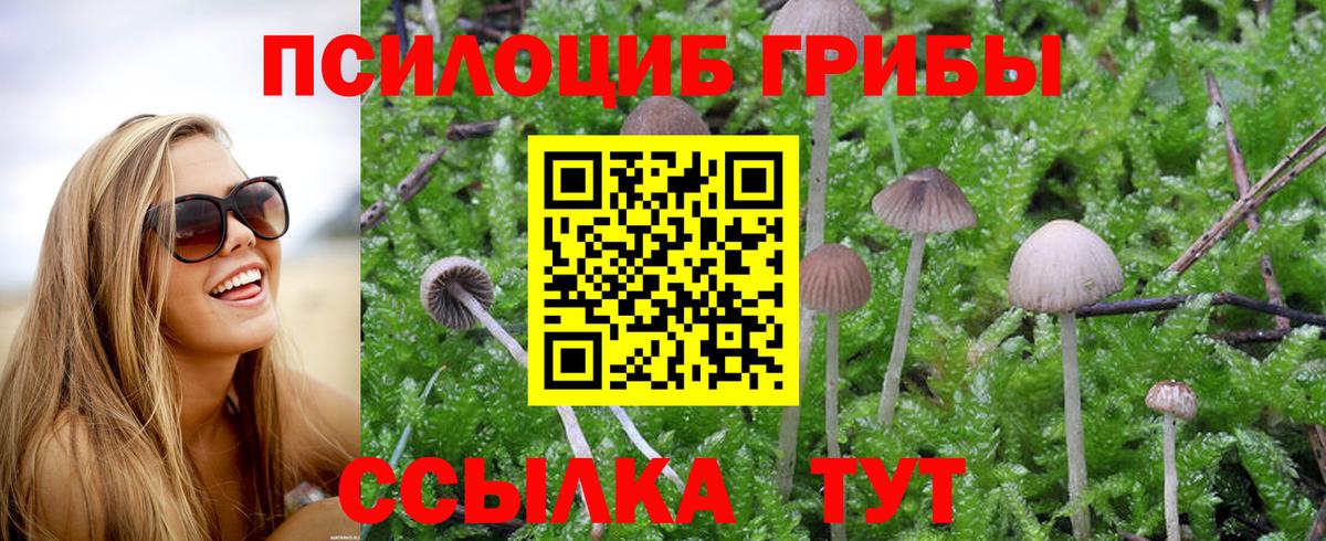 Ульяновск  Канабис  Конопля  Вход с VPN  Мефедрон кристаллы  Лсд 25  ГАШ  Кокаин 