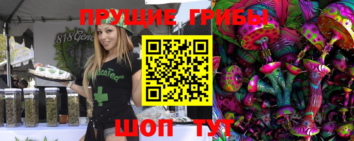 хочу   Псилоцибиновые грибы Cubensis  Вход с VPN  Ульяновск 