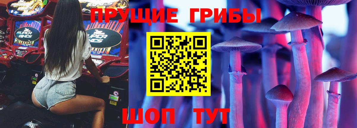 Галлюциногенные грибы Psilocybine cubensis Ульяновск